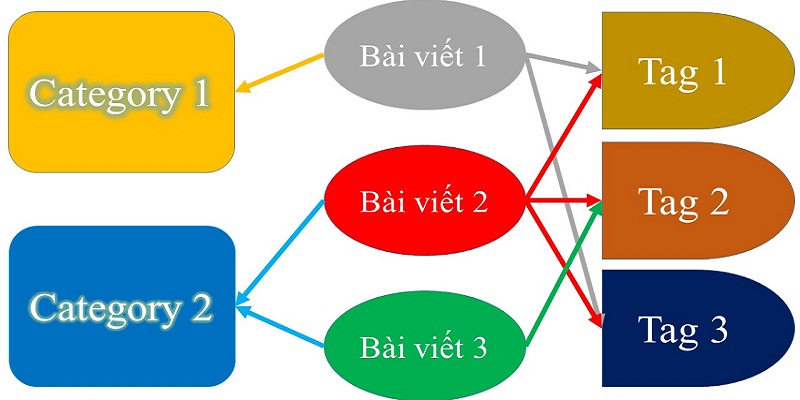 Category là gì? Tag là gì?